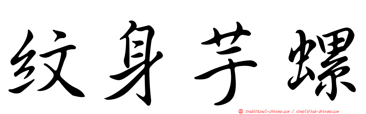 紋身芋螺