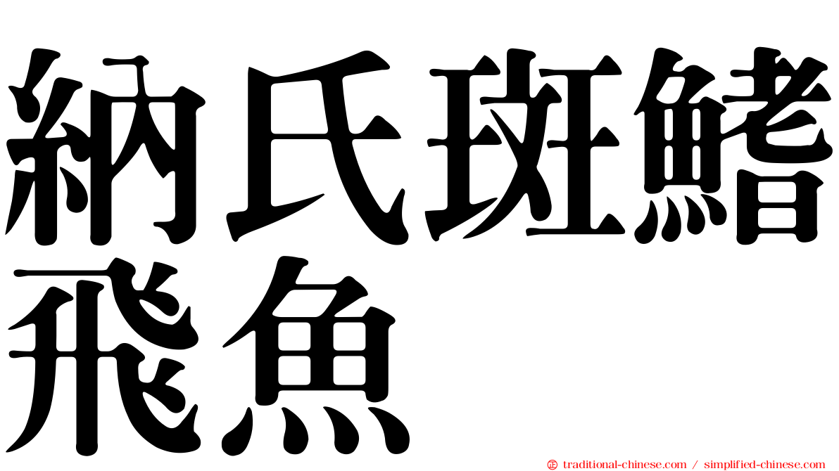 納氏斑鰭飛魚