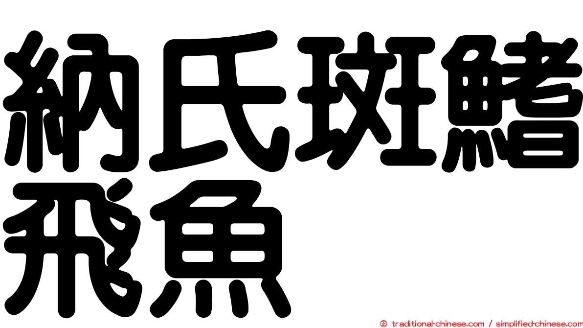 納氏斑鰭飛魚
