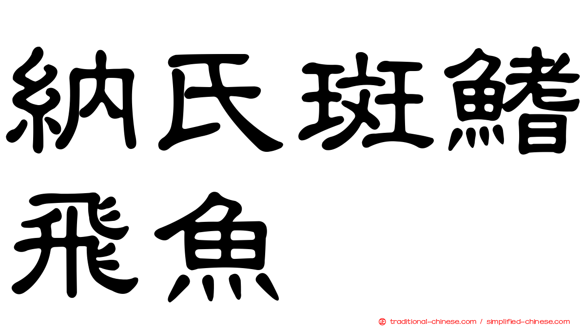 納氏斑鰭飛魚