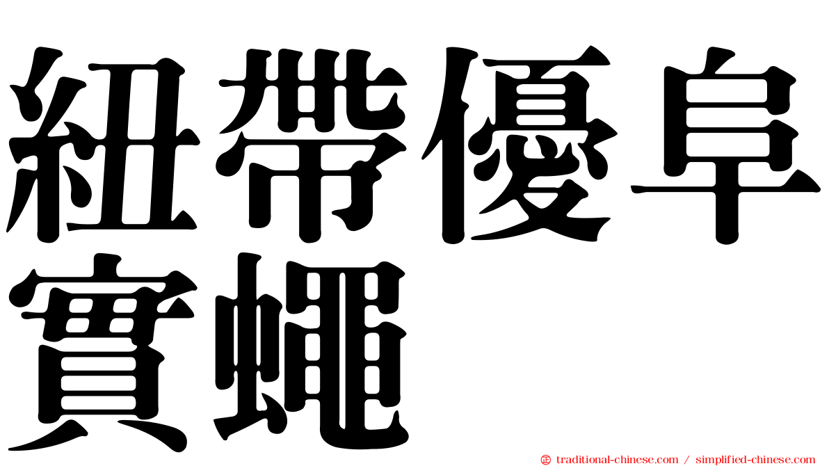 紐帶優阜實蠅