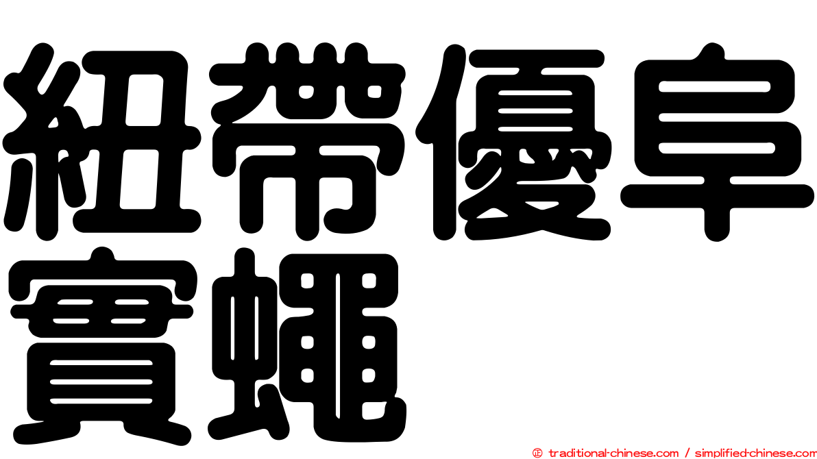 紐帶優阜實蠅