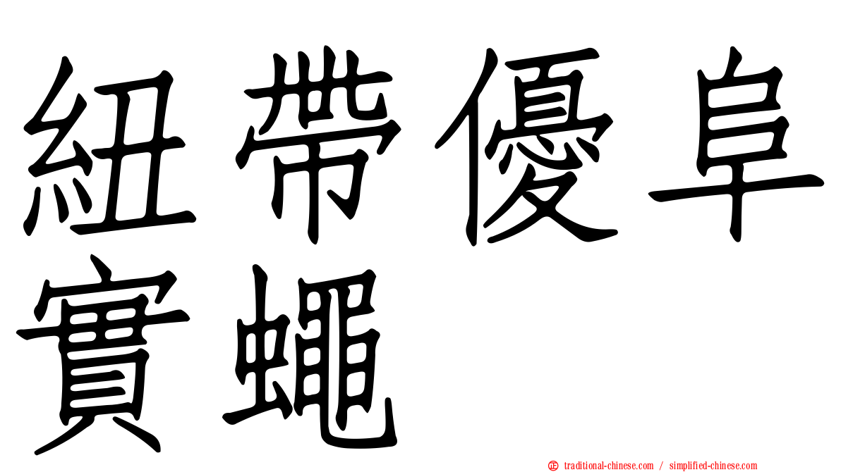 紐帶優阜實蠅
