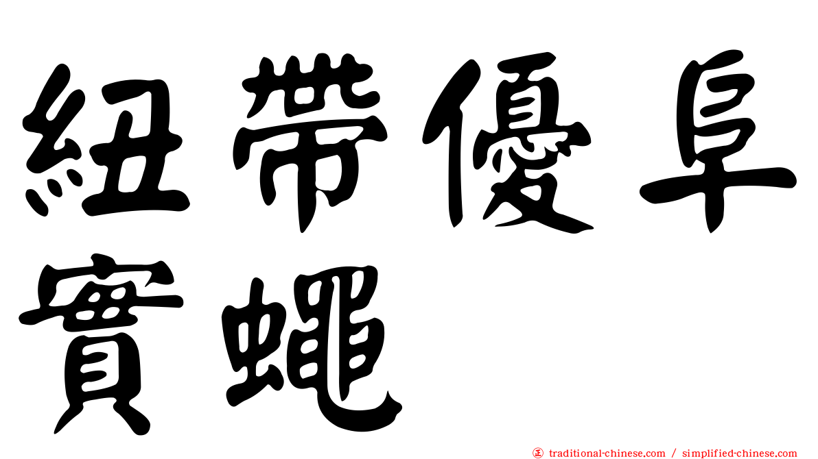 紐帶優阜實蠅