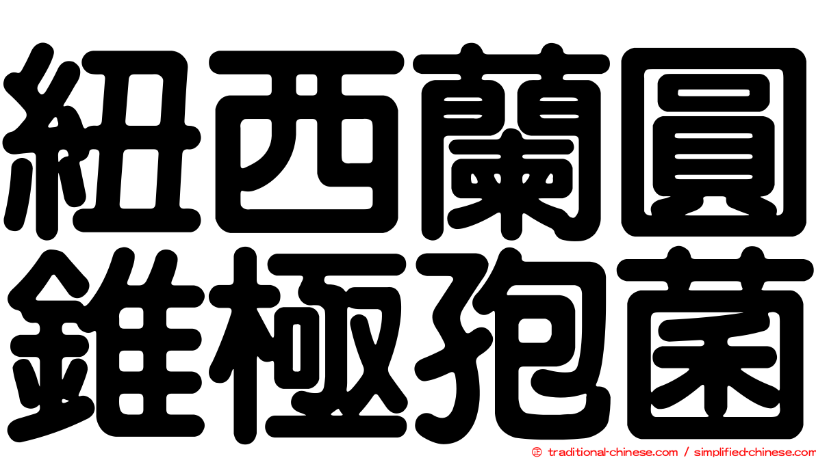紐西蘭圓錐極孢菌