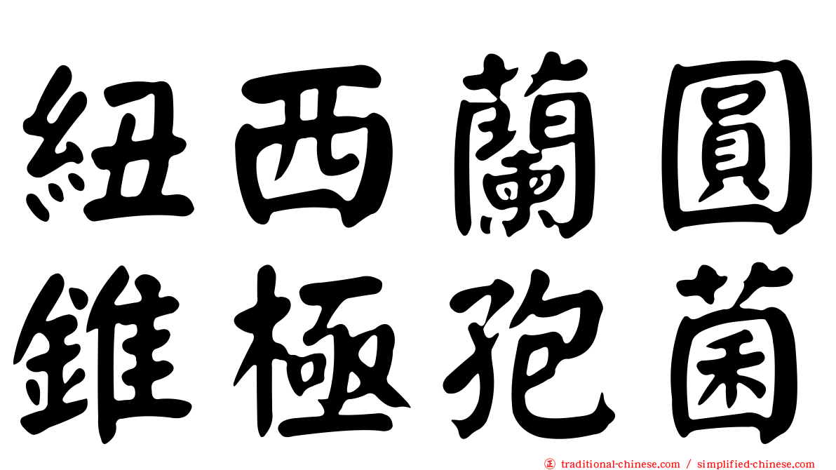 紐西蘭圓錐極孢菌