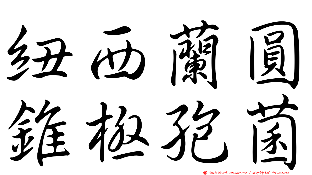 紐西蘭圓錐極孢菌
