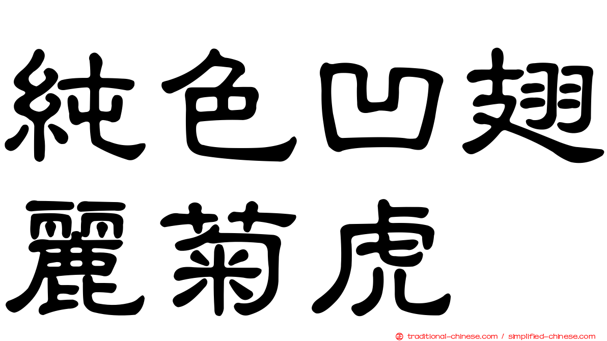 純色凹翅麗菊虎