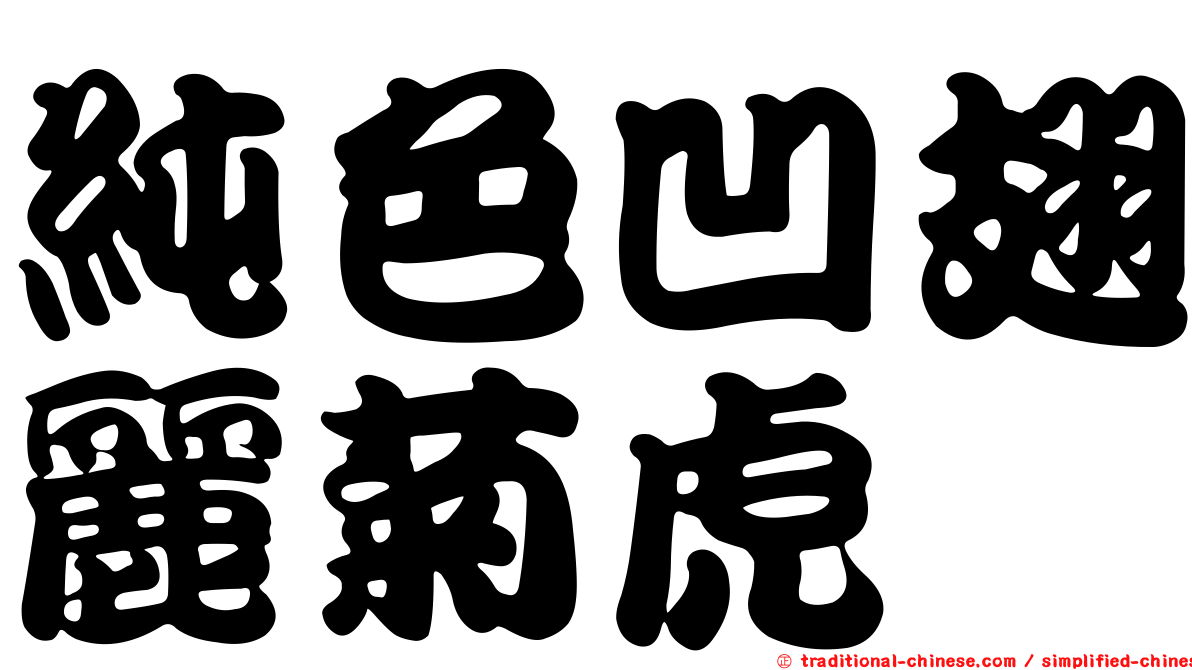 純色凹翅麗菊虎