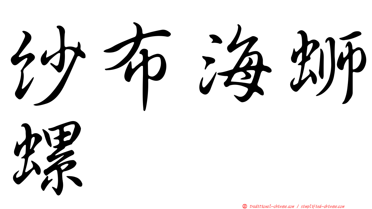 紗布海螄螺