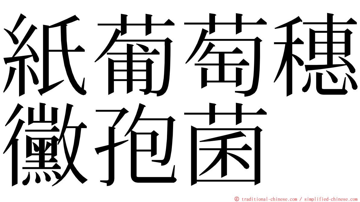 紙葡萄穗黴孢菌 ming font
