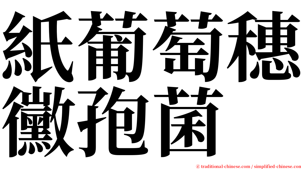 紙葡萄穗黴孢菌 serif font