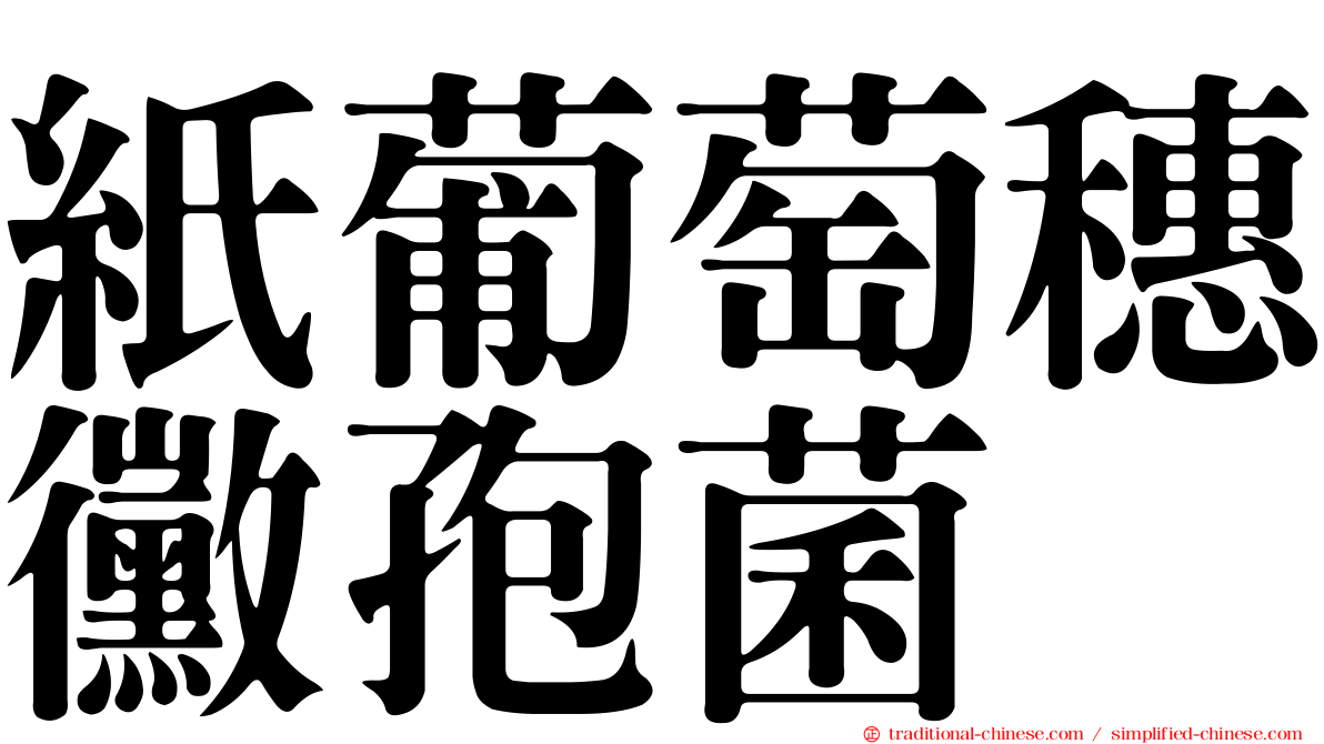 紙葡萄穗黴孢菌