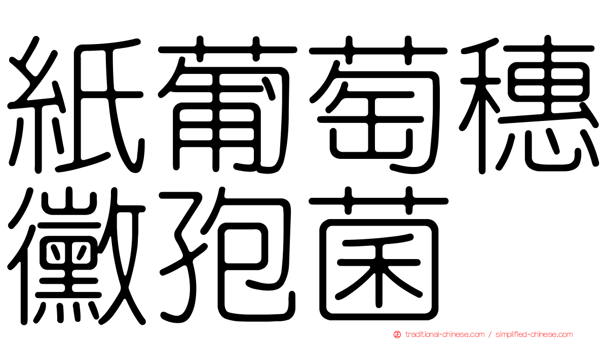 紙葡萄穗黴孢菌