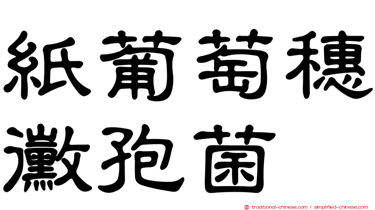 紙葡萄穗黴孢菌
