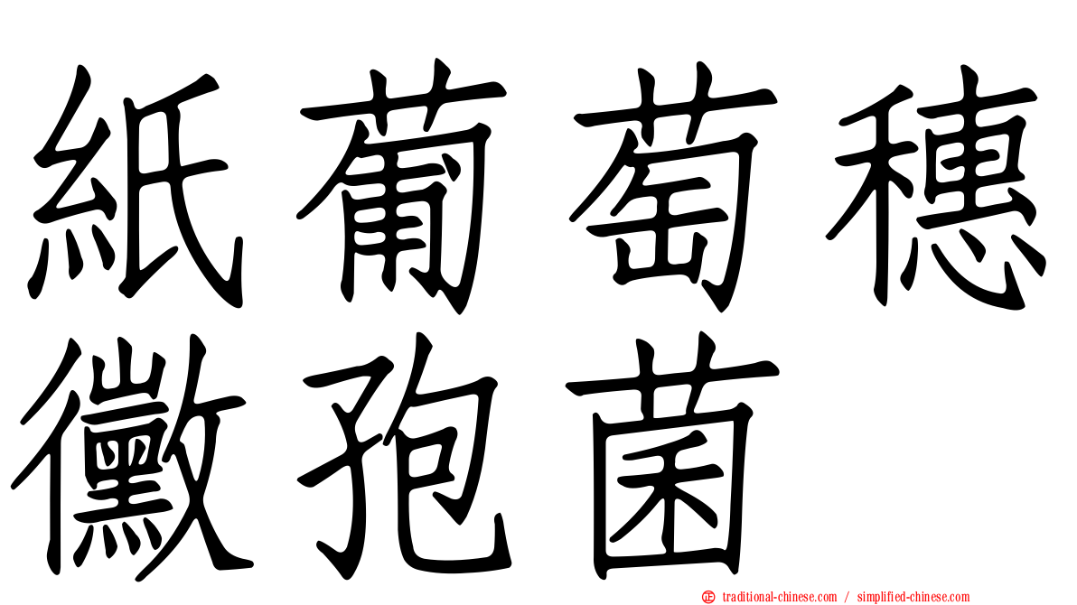 紙葡萄穗黴孢菌