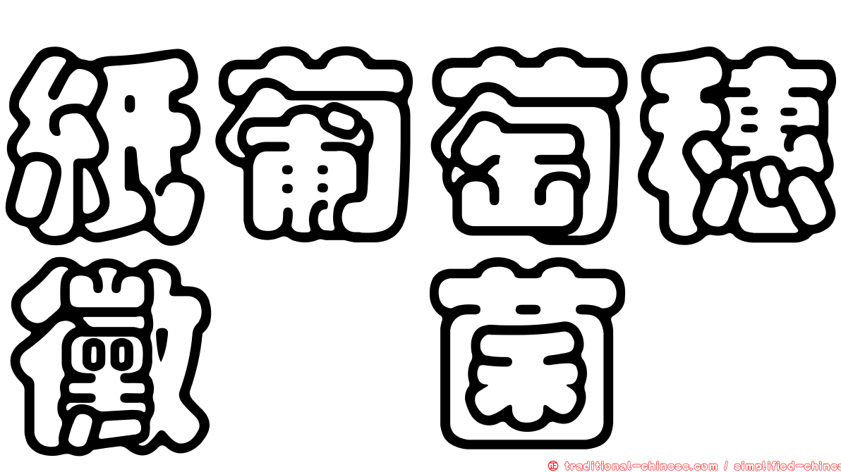 紙葡萄穗黴孢菌