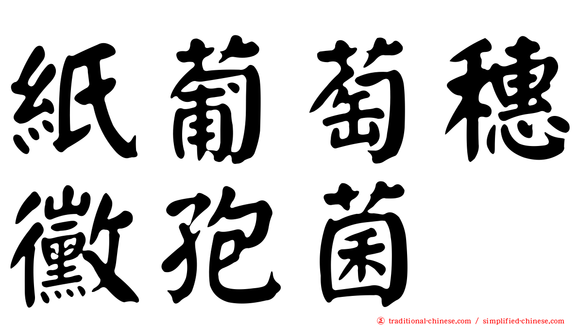 紙葡萄穗黴孢菌