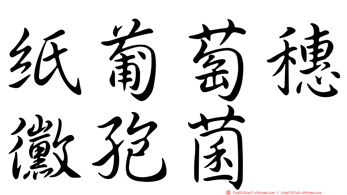 紙葡萄穗黴孢菌
