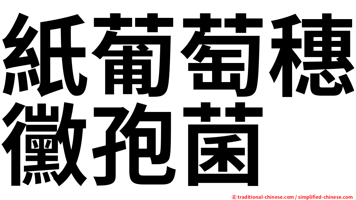 紙葡萄穗黴孢菌