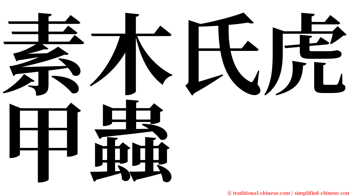素木氏虎甲蟲 serif font