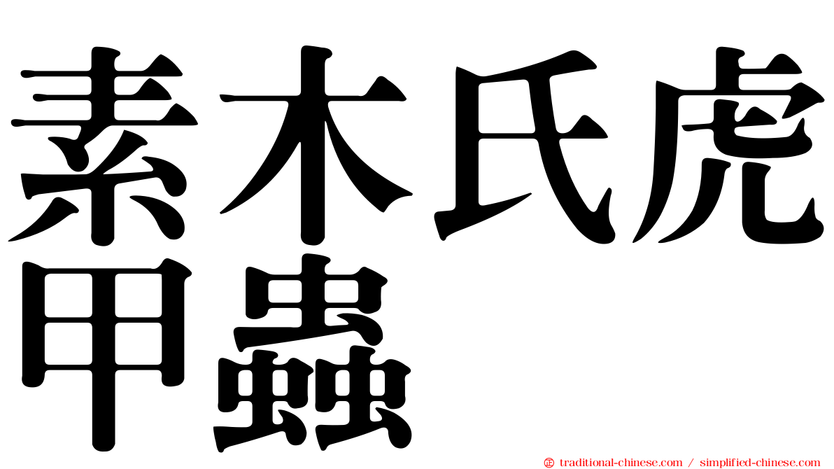 素木氏虎甲蟲