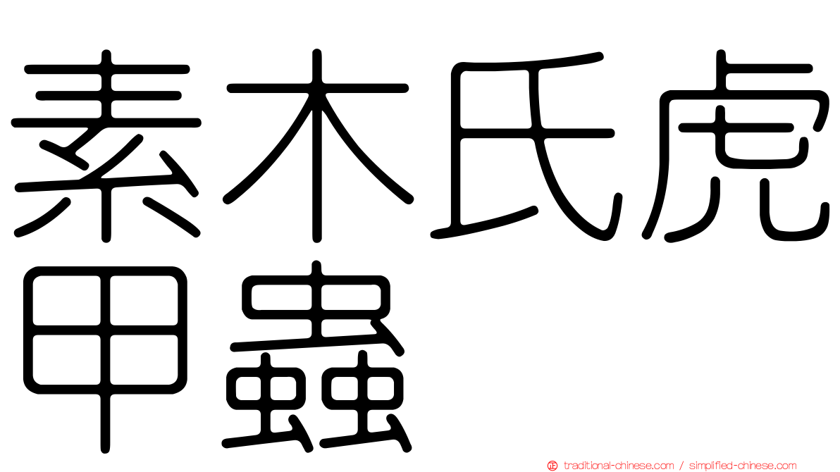 素木氏虎甲蟲