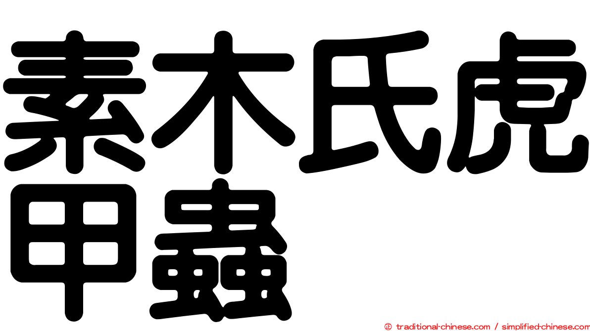 素木氏虎甲蟲