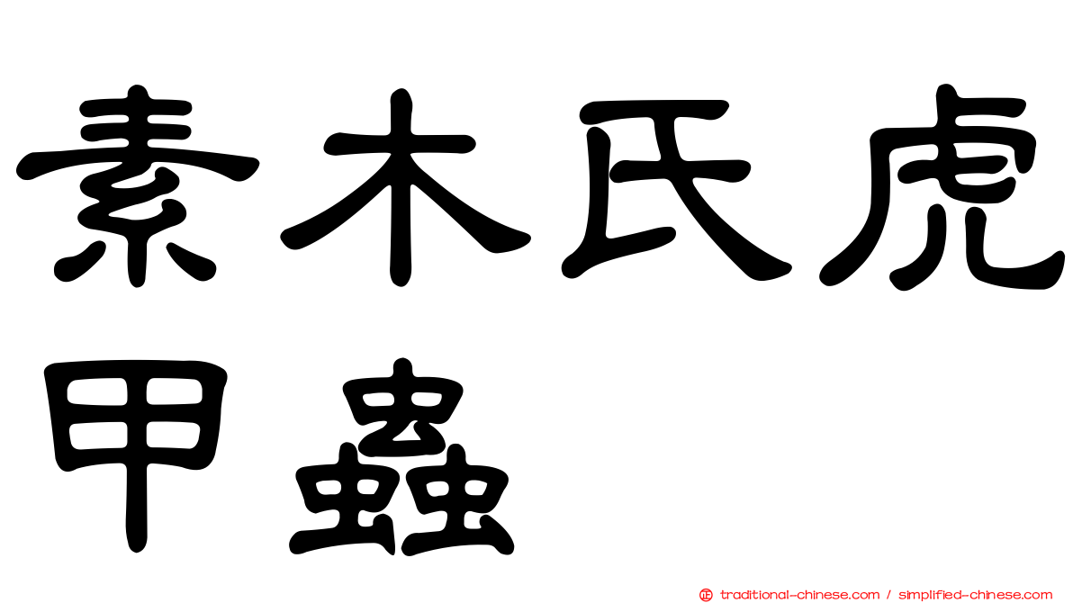 素木氏虎甲蟲