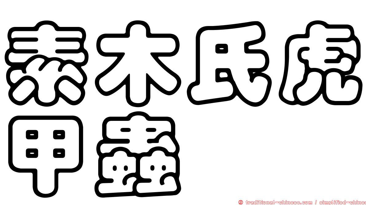 素木氏虎甲蟲