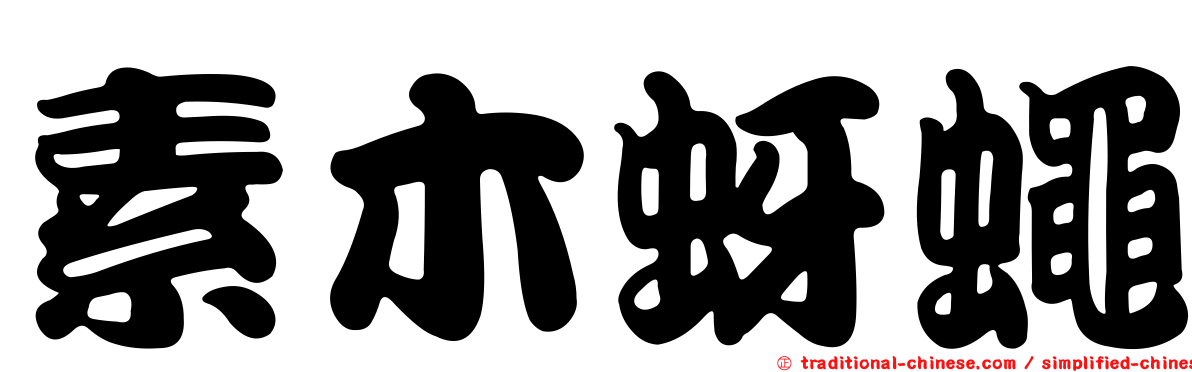 素木蚜蠅