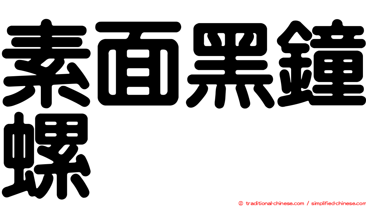 素面黑鐘螺