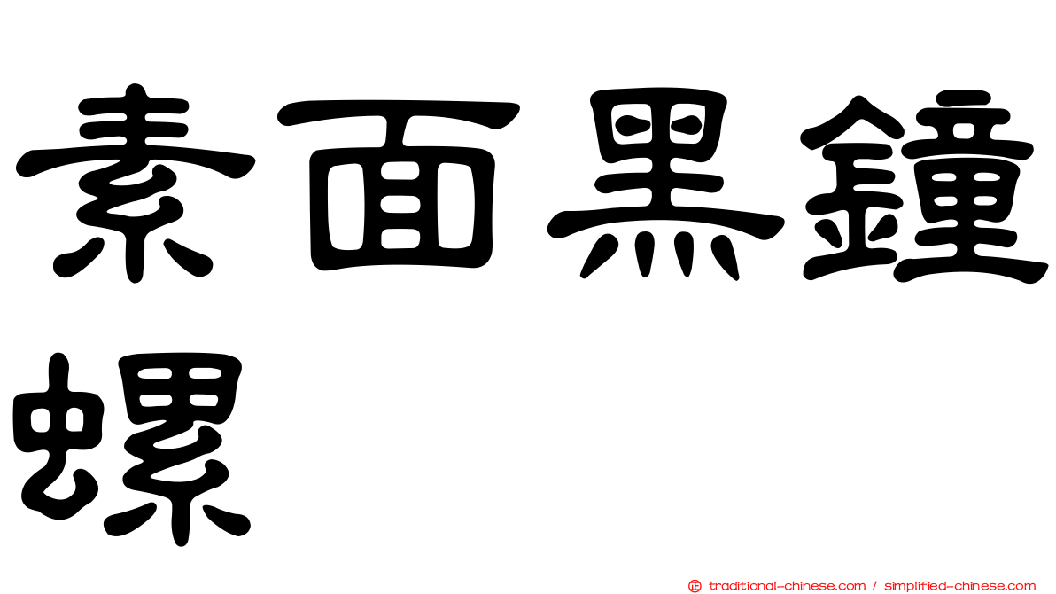 素面黑鐘螺