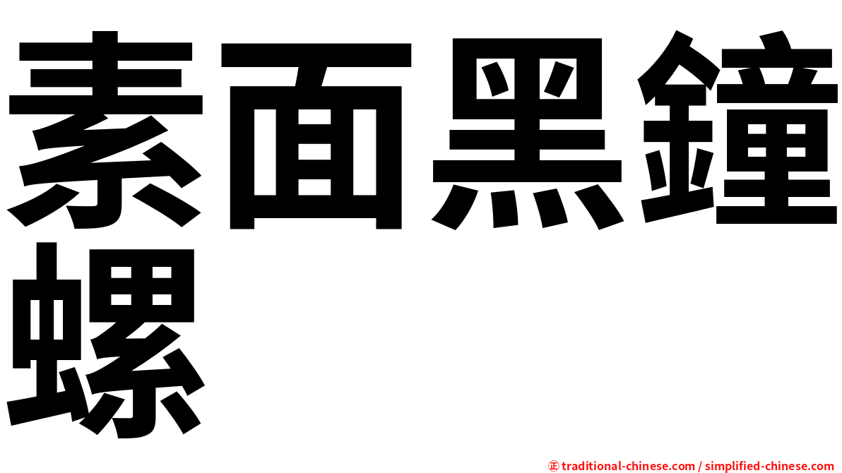 素面黑鐘螺