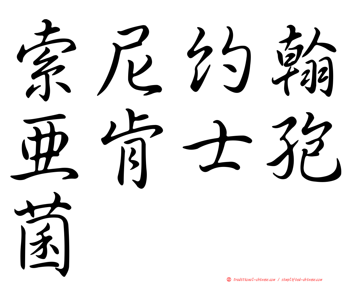 索尼約翰亞肯士孢菌