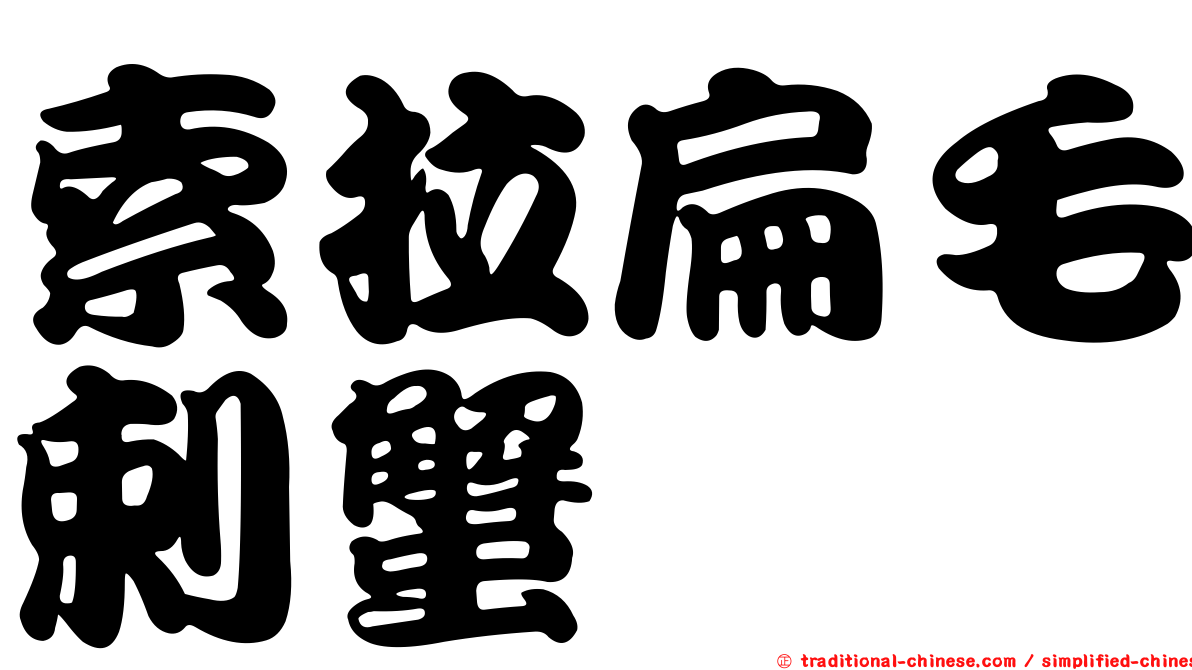 索拉扁毛剌蟹