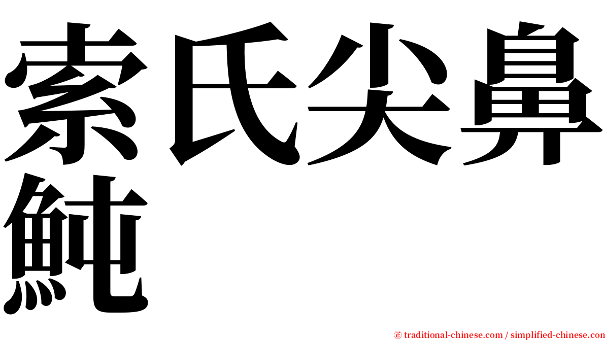 索氏尖鼻魨 serif font