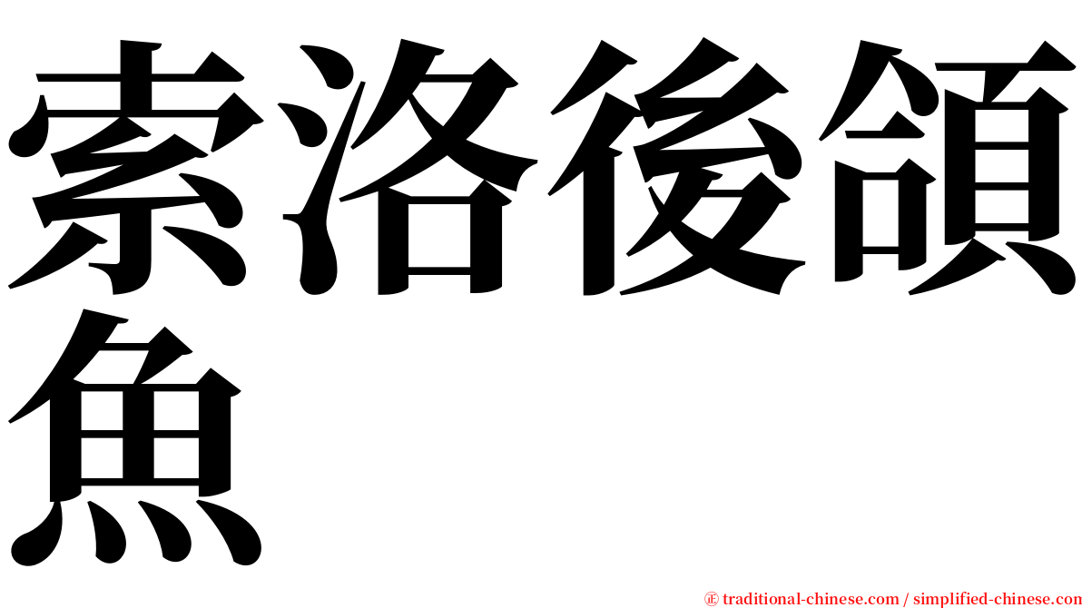索洛後頜魚 serif font
