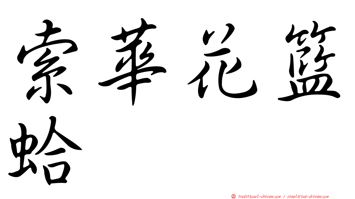 索華花籃蛤