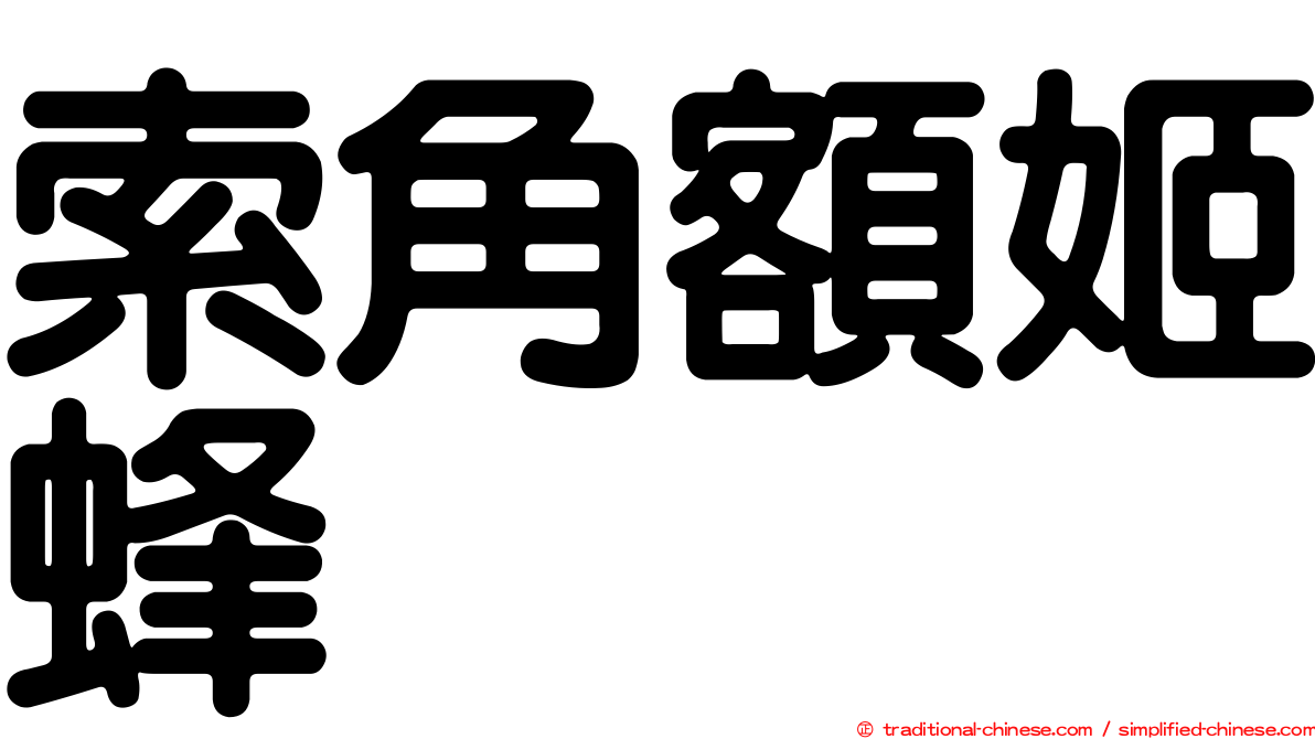 索角額姬蜂
