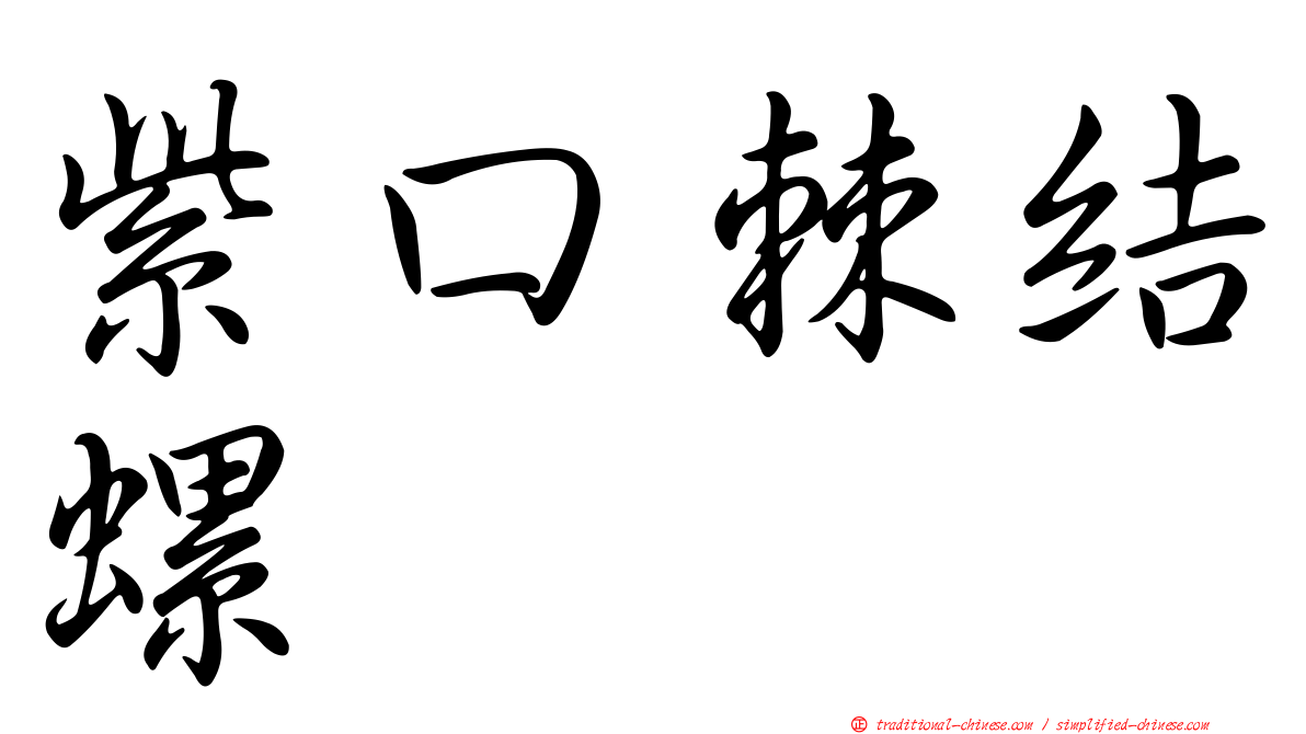 紫口棘結螺