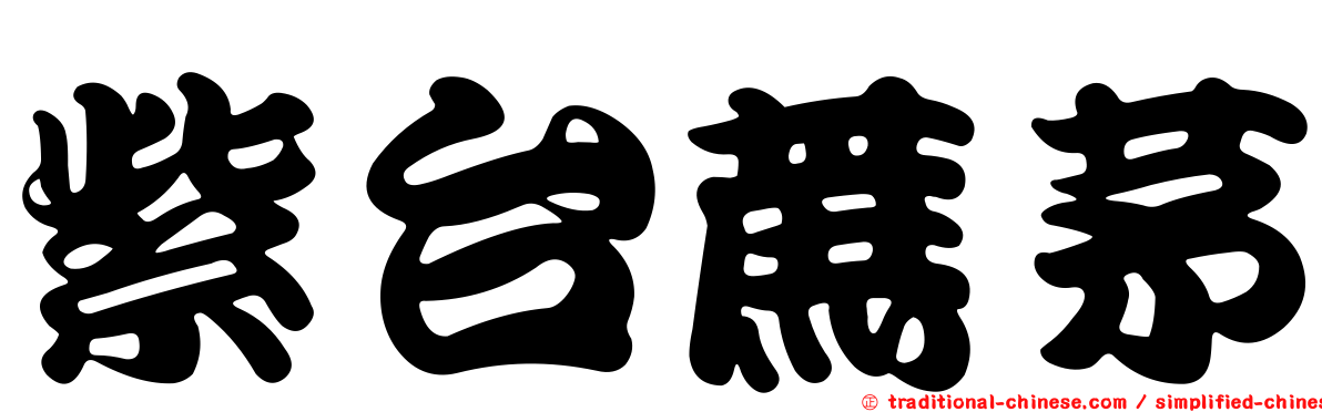 紫台蔗茅