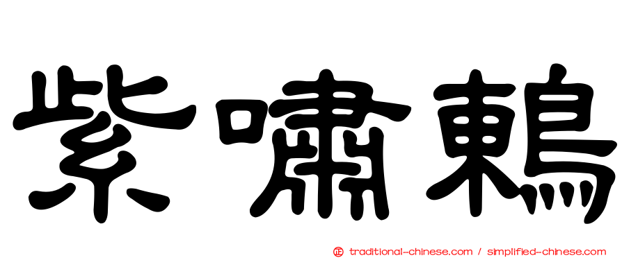 紫嘯鶇