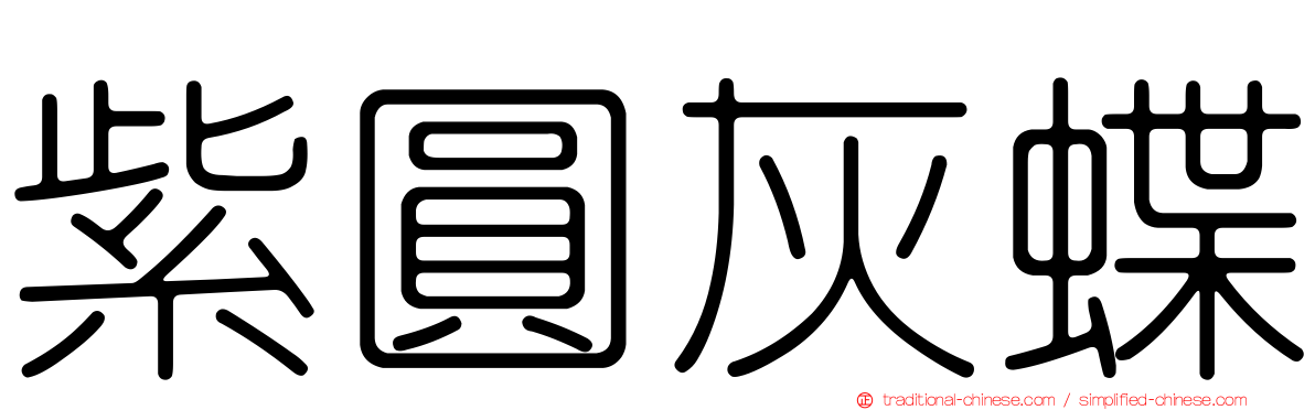 紫圓灰蝶