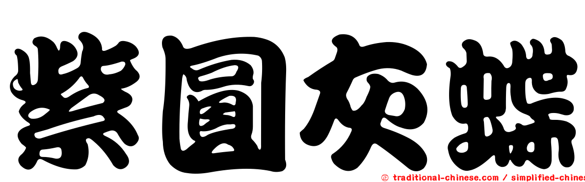 紫圓灰蝶
