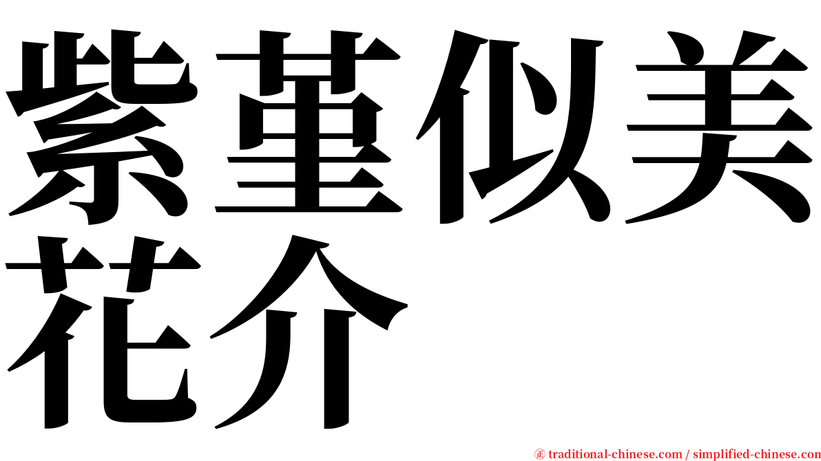 紫堇似美花介 serif font