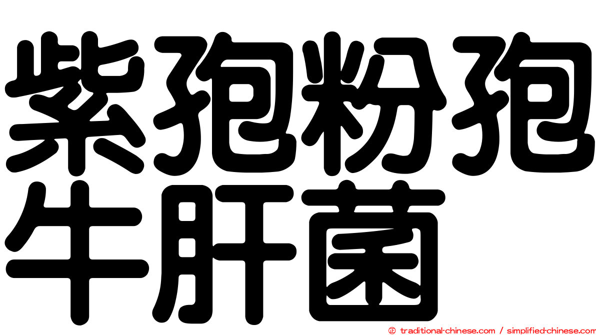 紫孢粉孢牛肝菌