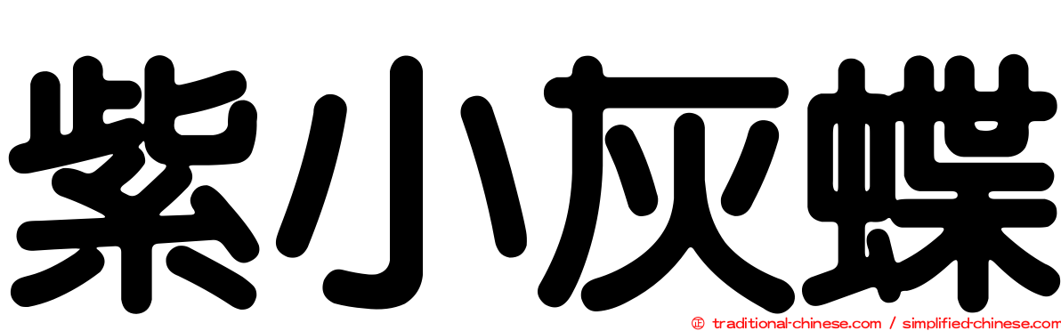 紫小灰蝶