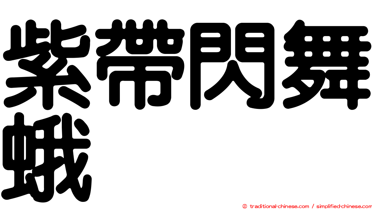 紫帶閃舞蛾