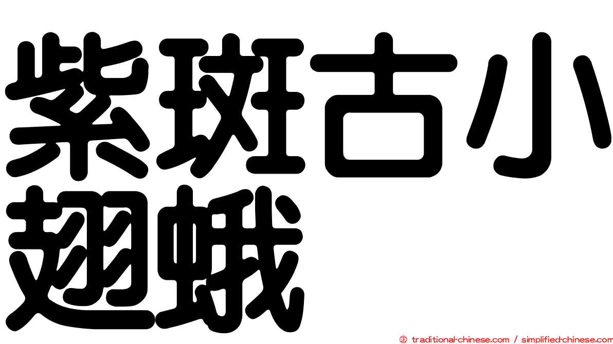 紫斑古小翅蛾